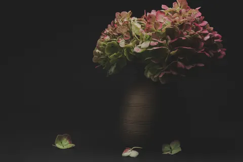 Hydrangea 4K Wallpaper · flowers · 3840×2560