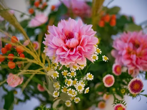 Dahlia 4K Wallpaper · flowers · 3840×2878
