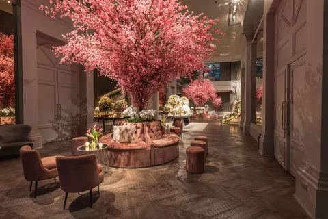 Cherry Blossom Tree 4K Wallpaper · flowers · 3840×2560