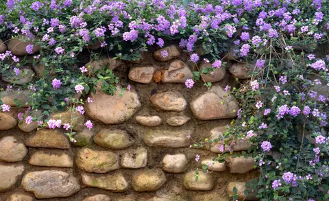 Wisteria 4K Wallpaper · flowers · 3840×2347