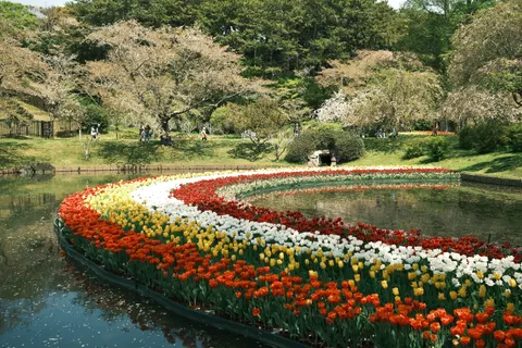 Tulip Garden 4K Wallpaper · flowers · 3840×2560