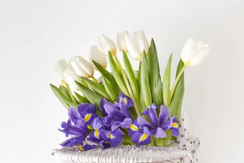 Iris 4K Wallpaper · flowers · 3840×2560
