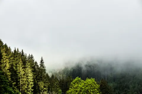 Foggy Valley 4K Wallpaper · mountains · 3840×2560