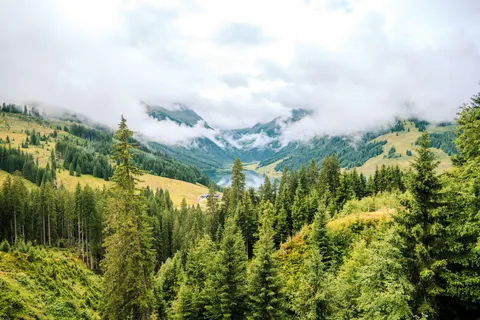 Foggy Valley 4K Wallpaper · mountains · 3840×2560