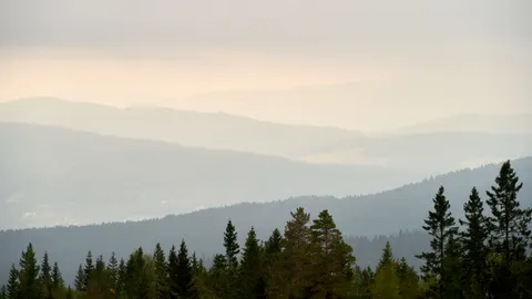 Foggy Valley 4K Wallpaper · mountains · 3840×2160