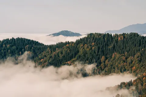 Foggy Valley 4K Wallpaper · mountains · 3840×2560