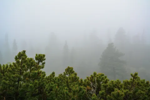 Foggy Valley 4K Wallpaper · mountains · 3840×2560