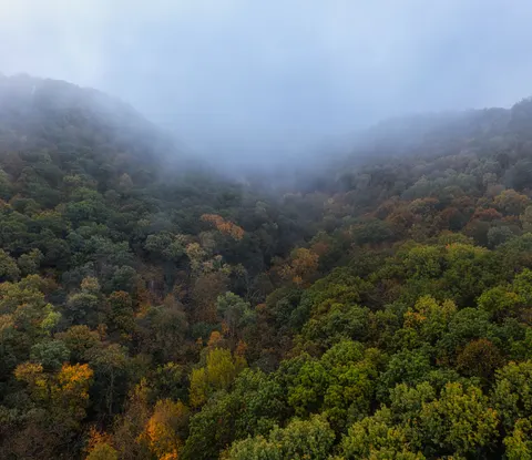 Foggy Valley 4K Wallpaper · mountains · 3840×3322