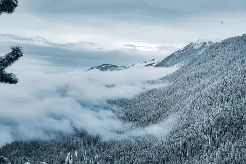 Foggy Valley 4K Wallpaper · mountains · 3840×2560