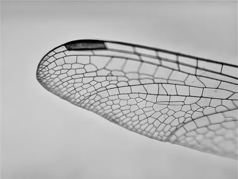 Soap Bubble 4K Wallpaper · abstract · 3840×2880