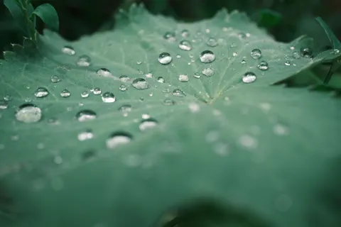 Oil Bubbles 4K Wallpaper · abstract · 3840×2560