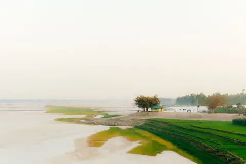 والپیپر درخت تنها با کیفیت 4K · minimal · 3840×2560