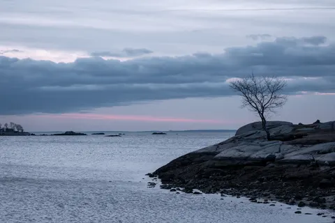 Lone Tree 4K Wallpaper · minimal · 3840×2560