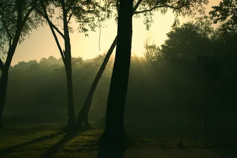 Lone Tree 4K Wallpaper · minimal · 3840×2561
