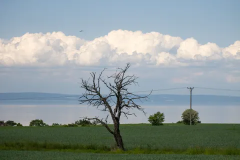 Lone Tree 4K Wallpaper · minimal · 3840×2560