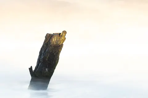 Lone Tree 4K Wallpaper · minimal · 3840×2560