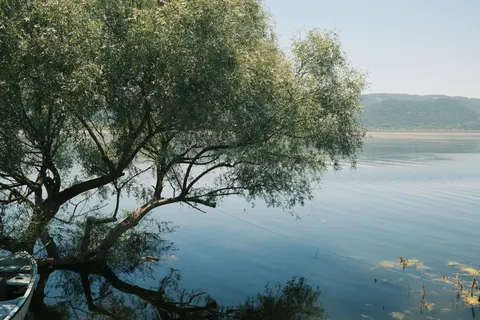 Lone Tree 4K Wallpaper · minimal · 3840×2560