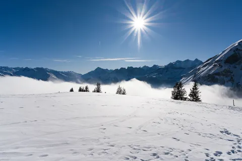Snow Field 4K Wallpaper · minimal · 3840×2558
