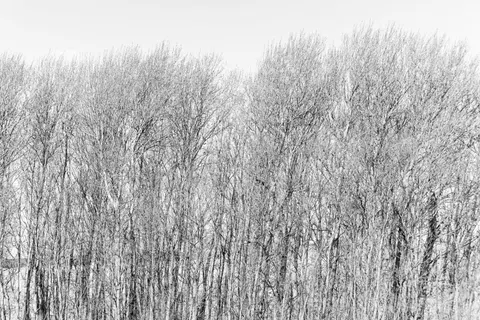Snow Field 4K Wallpaper · minimal · 3840×2563