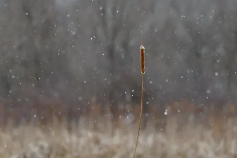 Snow Field 4K Wallpaper · minimal · 3840×2560