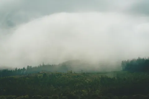 Misty Woods 4K Wallpaper · minimal · 3840×2561