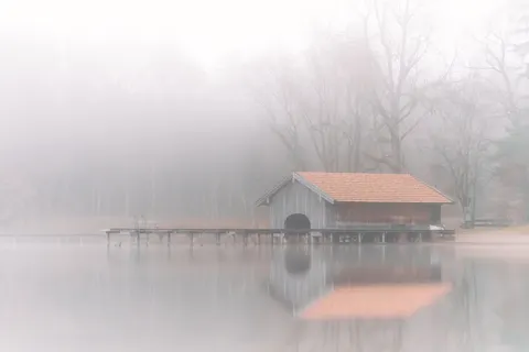 Misty Woods 4K Wallpaper · minimal · 3840×2560