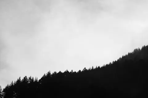Misty Woods 4K Wallpaper · minimal · 3840×2560