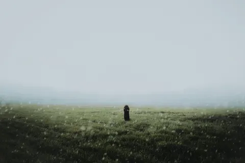 Misty Woods 4K Wallpaper · minimal · 3840×2560