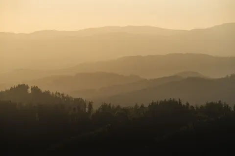 Misty Woods 4K Wallpaper · minimal · 3840×2561
