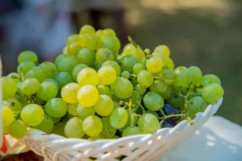 Fresh Fruit 4K Wallpaper · food · 3840×2563