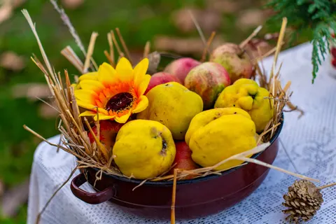 Fresh Fruit 4K Wallpaper · food · 3840×2561