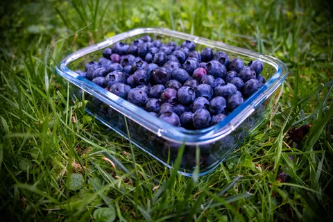 Fresh Fruit 4K Wallpaper · food · 3840×2560
