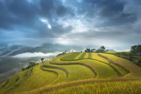 والپیپر مزارع پلکانی برنج با کیفیت 4K · nature · 3840×2561