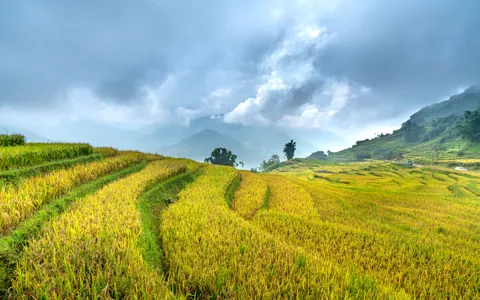 Fond d'écran Rizières en terrasses 4K · nature · 3840×2401