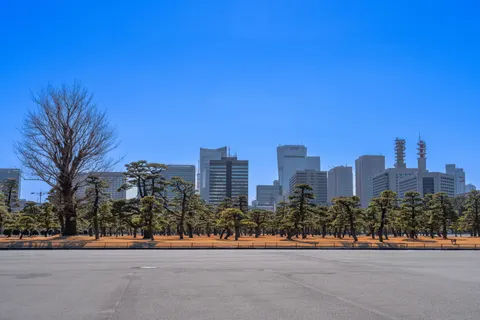 Tokyo by Day 4K Wallpaper · city · 3840×2560