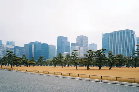 Tokyo by Day 4K Wallpaper · city · 3840×2557