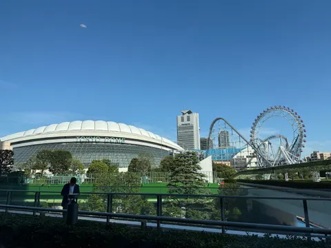 Tokyo by Day 4K Wallpaper · city · 3840×2880