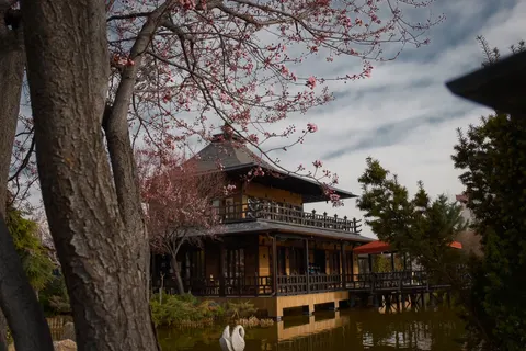 Japanse Pagode 4K-achtergrond · architecture · 3840×2560