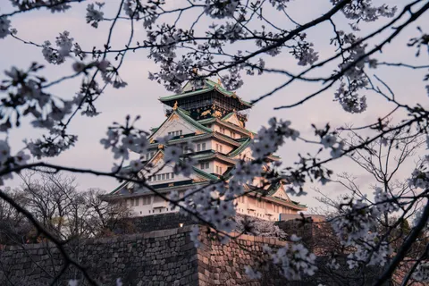 Japanese Pagoda 4K Wallpaper · architecture · 3840×2560