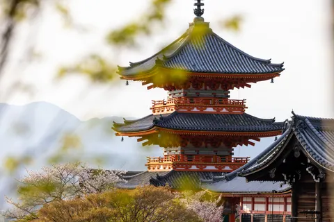 日本の五重塔 4K壁紙 · architecture · 3840×2561