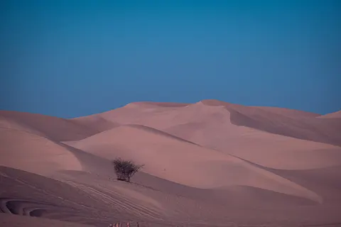 Fond d'écran Courbes du désert 4K · minimal · 3840×2560