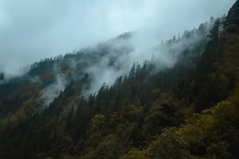 Foggy Valley 4K Wallpaper · mountains · 3840×2560
