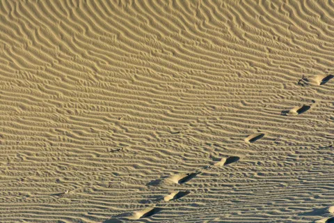 Fond d'écran Courbes du désert 4K · minimal · 3840×2560