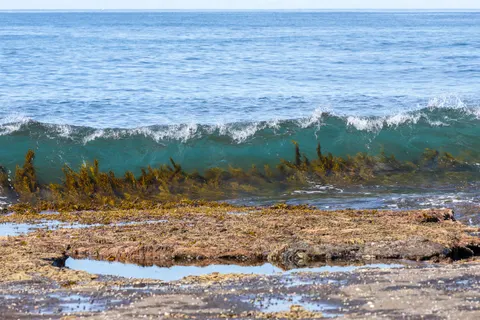 Rocky Shore 4K Wallpaper · ocean · 3840×2560