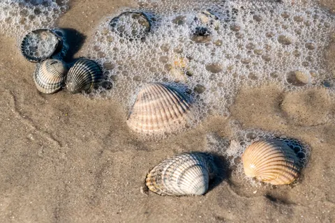 Sea Foam 4K Wallpaper · ocean · 3840×2560