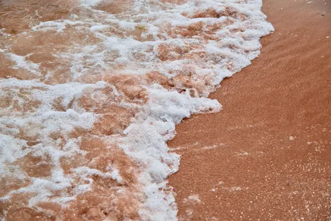 Sea Foam 4K Wallpaper · ocean · 3840×2560