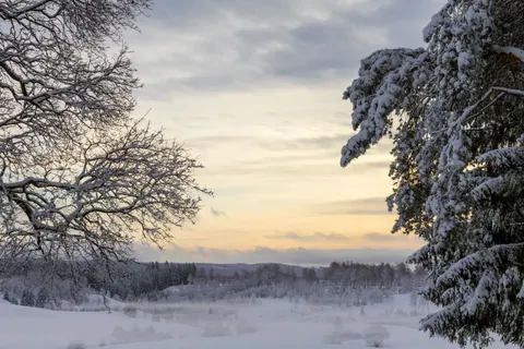 Fond d'écran Neige d'hiver 4K · nature · 3840×2560