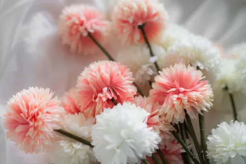 Peony 4K Wallpaper · flowers · 3840×2560