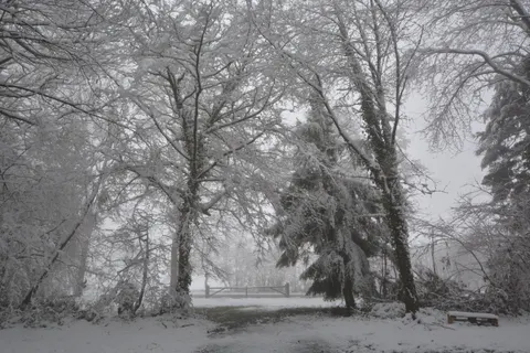 Winter Snow 4K Wallpaper · nature · 3840×2560