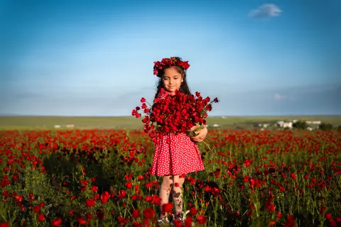 Poppy Field 4K Wallpaper · flowers · 3840×2560